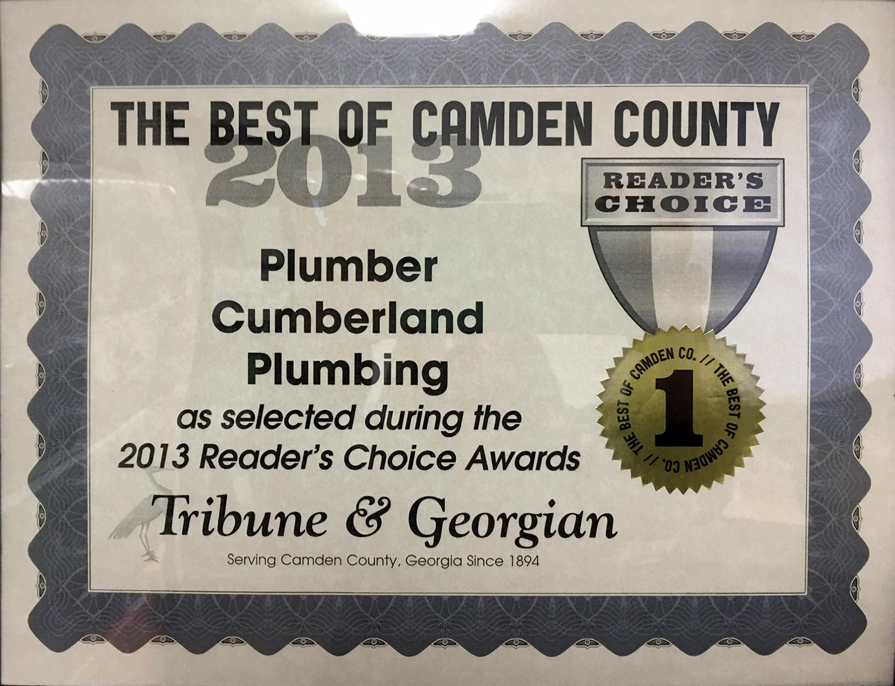 best plumber camden georgia